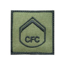 Novas Divisas do CFC E CFST em baixa luminosidade